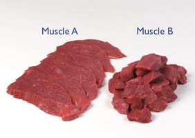 Meat Cut Spec Step 5